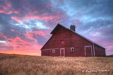 History Pub - A Field Guide to Pacific Northwest Barns