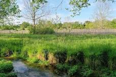 Volunteer Workday at Cool Spring Preserve