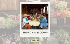 Brunch & Blooms