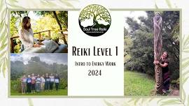 Reiki Level 1 - South Auckland