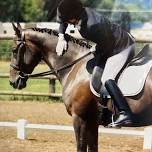 Dancing in the Sand Dressage Schooling Show #1