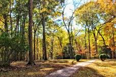 Plantation Discovery Hike