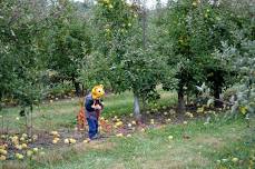 Peach Fest at Lynd’s