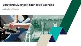 Swan Hill Regional Livestock Exchange Livestock Standstill E