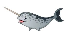 Narwhal Kids Club