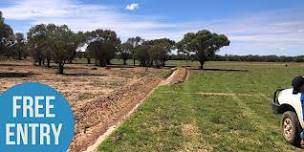 Rabbit Harbour Removal Field Day