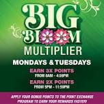 Big Bloom Multiplier — Rosebud Casino