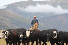 La Grande, Oregon: 3 Day Cattlework Clinic