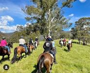 2 Day 2 night Howqua Hills River Ride- Full booked — Hidden Trails by Horseback