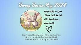 Bunny Basics May 2024