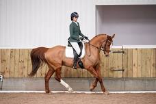 Dressage Clinic Sat 15th June (with Dressage Boards)