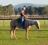 Trail Course Clinic using horsemanship through Connection .