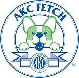 AKC Fetch Trials (2 trials with 2 different judges)