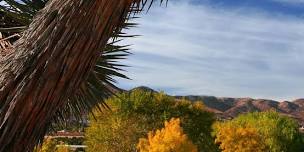 Palmdale Farmers Market