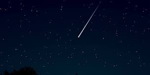 Meteors on the Meadow: Geminids