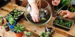 Make Your Own Terrarium Workshop | Leawood