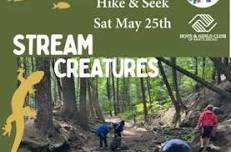 Hike & Seek: Stream Creatures at the Weeks Forest Trail in Guilford