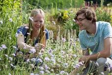 Gardening for Wildlife