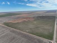 312.34 ACRES / KEARNY COUNTY, KS Auction