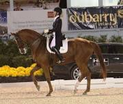 Barbara Strawson Dressage Clinic