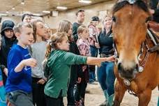 Beginner Horse Camp