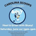 Bluey Ice Cream Social