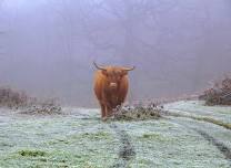 Cuxton Views Wellbeing Walking Group