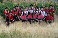 American Folk Ensemble & Market