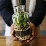 Succulent Sand Terrarium