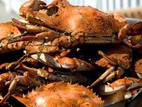 Crab Festival @ St. Mary's County Fairgrounds