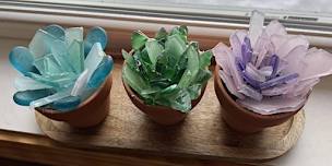 Gaylord Glass Succulents Workshop at the Pine Squirrel