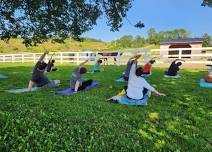 Outdoor Yoga with Horses