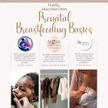 Prenatal Breastfeeding Basics