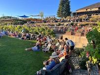 Live Music at Circle 5 Winery: Joyride