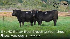 B+LNZ Better Beef Breeding Workshop: Rotorua