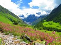 Valley of Flowers