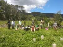 Auckland: Matuku Link restoration