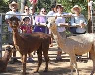 Open Farm Day