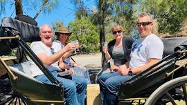 1-hour Hunter Valley private horse-drawn carriage wine tour