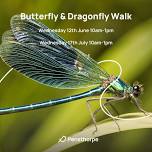 Butterfly & Dragonfly walk at Pensthorpe