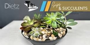 Sips  and succulents workshop at the Tiki Underground