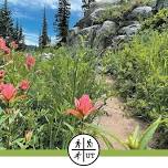 Nature Walk with Basic Plant Identification for Wasatch Trails