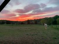 Outdoor Farm Camp!