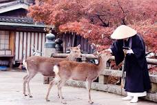 Nara Romantic Tour: Celebrate Love and Explore Serene Japanese Temples