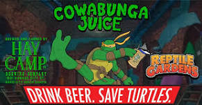 Drink Beer Save Turtles