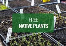 Free Native Plants