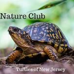 Nature Club : Turtles of New Jersey