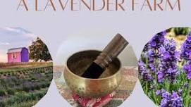 Sound Healing On A Lavender Farm