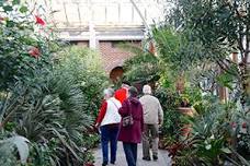 Forest Bathing in the Conservatories, Boylston, MA (Accessible for All)  — New England Nature and Forest Therapy Consulting