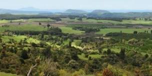 B+LNZ Trees within Farms – Opportunities with Carbon Farmer Workshops: Matiere and Turangi